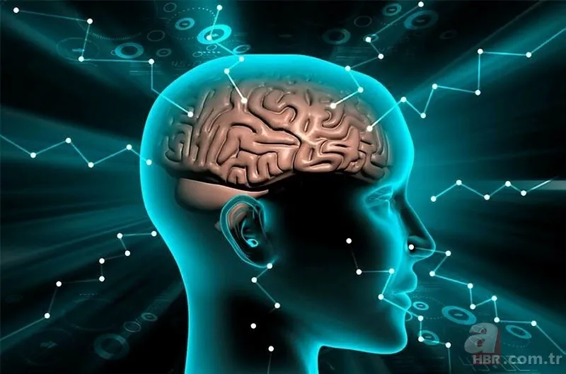 Bu zeka testi sosyal medyayı sallıyor! Detayları fark etmekte ne kadar dikkatlisiniz? 7