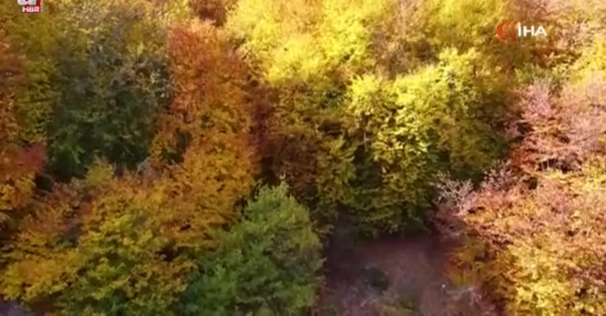 Şebek Geçidi'nde sonbahar güzelli