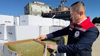 Binlerce kişiyi baklavayla zehirleyeceklerdi: Tekirdağ'da 2 ton aflatoksinli fıstık ele geçirildi