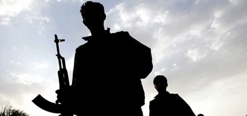 Şırnak'ta 2 PKK'lı etkisiz hale getirildi