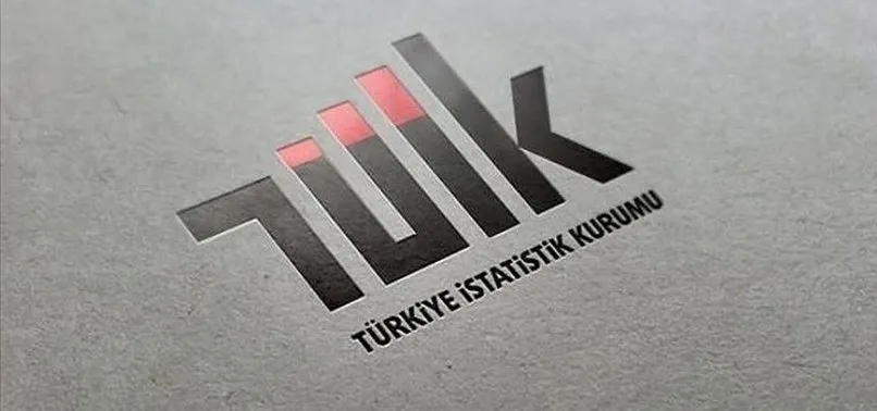 Erhan Çetinkaya kimdir? Yeni TÜİK Başkanı Erhan Çetinkaya kaç yaşında ve nereli? Erhan Çetinkaya’nın biyografisi
