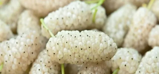 Sadece 1 tane tüketmek yeterli! Vücudu iltihaplardan arındıran besin...