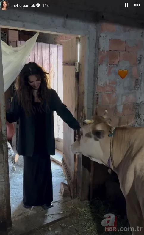 Yeni gelin el öpmeye gitti! Yusuf Yazıcı ile Melisa Aslı Pamuk Trabzon'da! Fotoğraflarına beğeni yağdı... 6