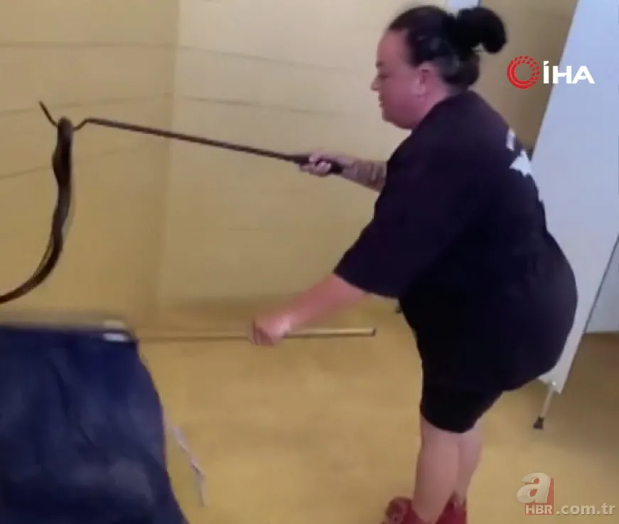 Havalar ısınınca ortaya çıktı! 1 metre uzunluğunda zehirli kocabaş yılanı böyle görüntülendi 10