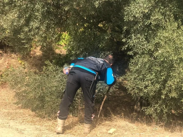aydinda-kayip-avciyi-arama-calismalari-devam-ediyor-1664458910750.jpg Aydın’da kayıp avcıyı arama çalışmaları devam ediyor! - 4