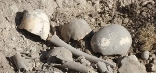 Van Gölü kenarında insan kemikleri bulundu