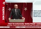Başkan Erdoğan öldürülen terörist sayısını açıkladı