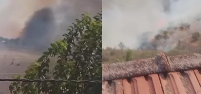 Hatay'da zeytinlik alanda yangın!