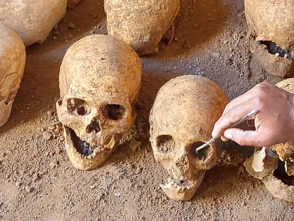 adiyamanda-bin-600-yillik-27-iskelet-bulundu-1658912206341.jpg Adıyaman’da bin 600 yıllık 27 iskelet bulundu! - 1