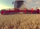 Küresel gıda krizi derinleşiyor