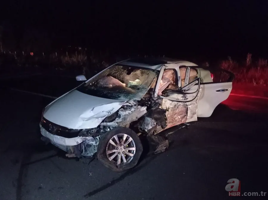 Bak şu domuzun yaptığına! 2 araç hurdaya döndü 4