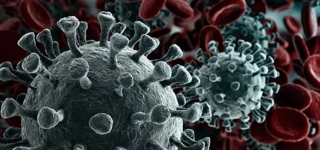 Çift mutasyonlu virüste korkutan gelişme! Aşı mutasyonlu virüse karşı etkili mi? Türkiye’de görüldü mü?