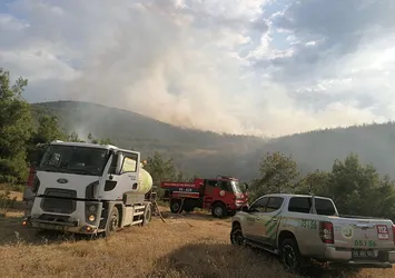 Tokat'ın Erbaa ilçesinde orman yangını! Alevler söndürüldü