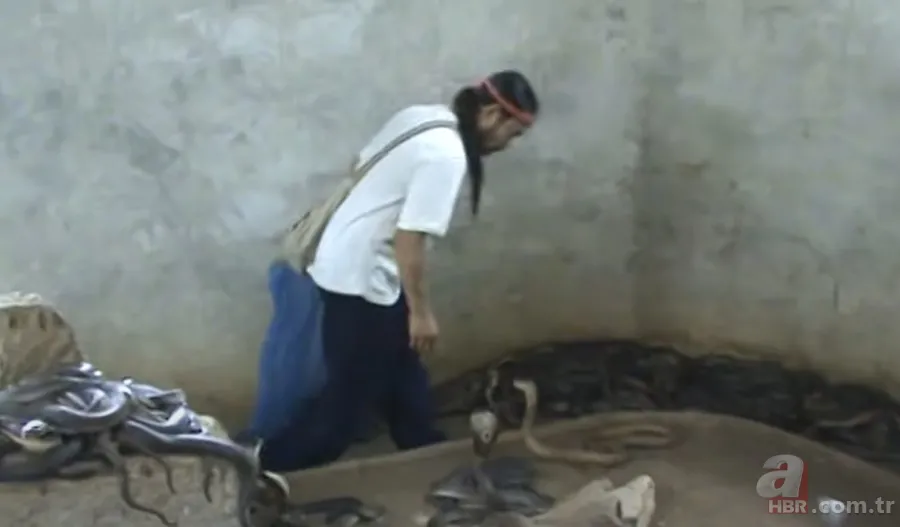 Yılan gösterisi için kobra seçen adam rahatlığıyla hayretler içinde bıraktı! 13