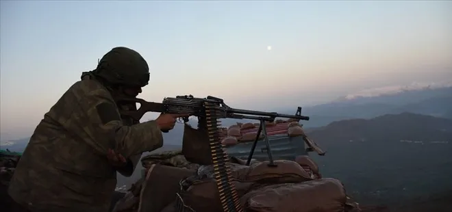 2 PKK'lı terörist teslim oldu