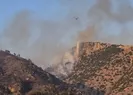 Pamukkale Örenyeri yakınlarında orman yangını