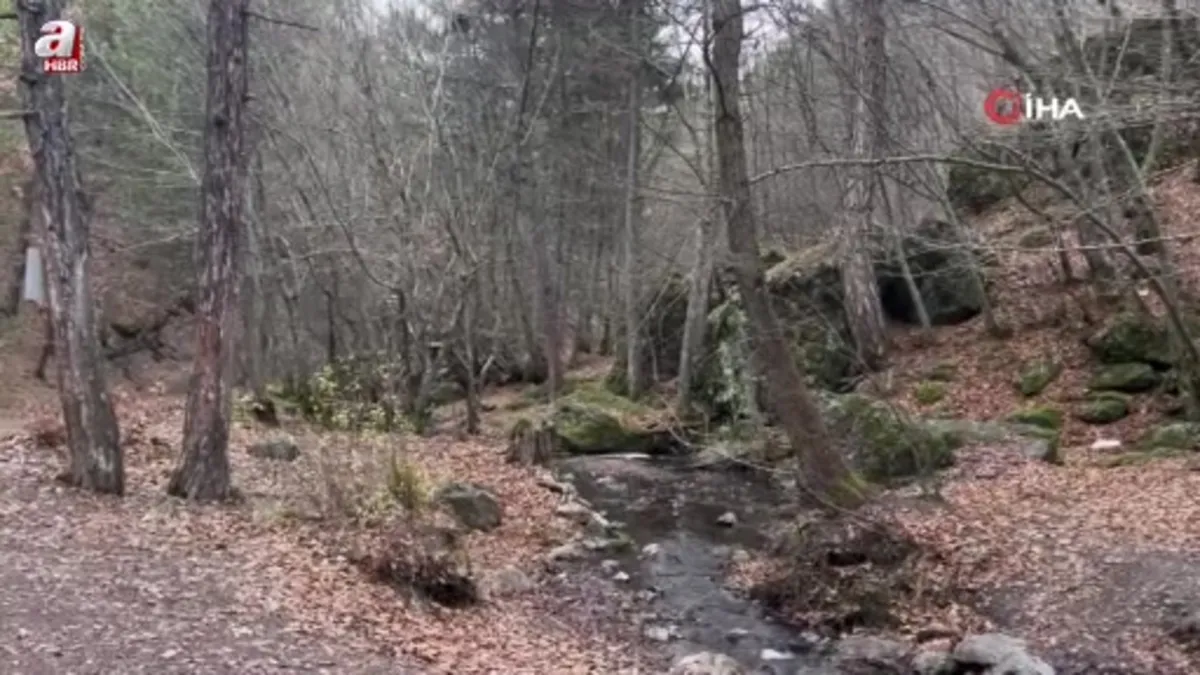 Beşikderesi Şelalesi’nde kış manzarası