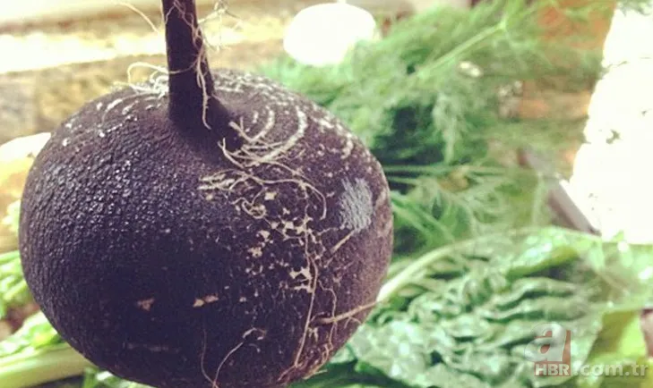 Öksürük ve bronşit için neler tüketilmeli? 9