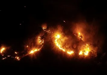 Elazığ'da ormanlık alanda çıkan yangın kontrol altına alındı