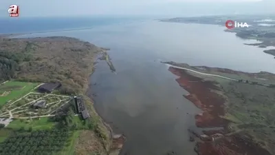 Altınova’da flamingo popülasyonu artıyor