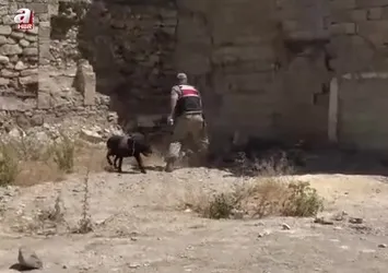 Kilis'in 2 yaşındaki kız çocuğu kayboldu