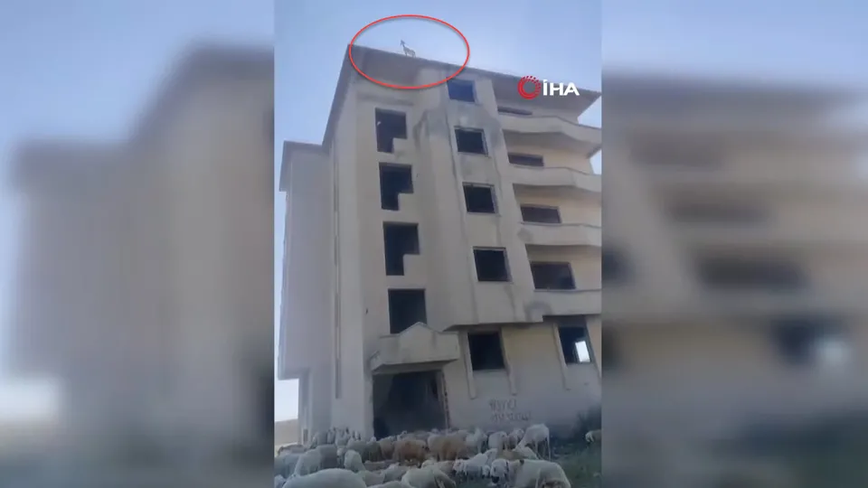 Görüntüler Ankara'dan! İnşaatın çatısında şaşkına çeviren manzara