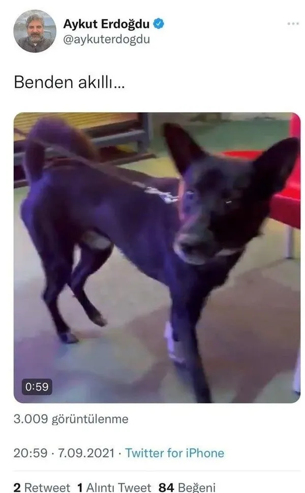 CHP’li Aykut Erdoğdu’dan Başkan Recep Tayyip Erdoğan’a yönelik küstah paylaşım: Tayyip Erdoğan ölsün istiyorum