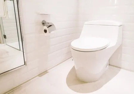 Klozetinizi parlatacak en basit yöntem: 2 malzemeyi karıştırmak yeterli...