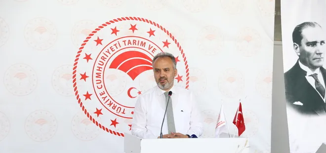 Siyez buğdayı ve çörek otunda hasat zamanı