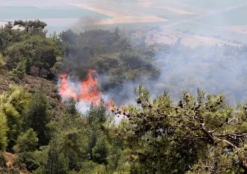 Terör örgütü PKK'nın büyük alçaklığı