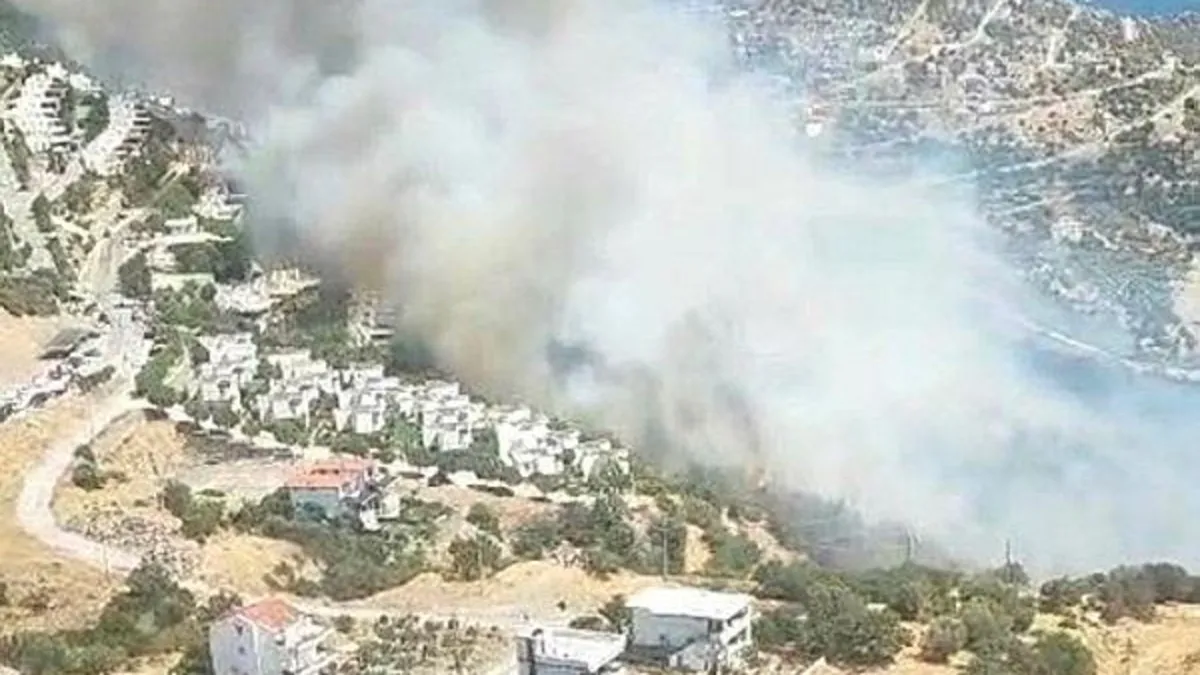 İzmir'de ormanlık alanda yangın! Çandarlı-Denizköy yolu kapatıldı | Alevler kontrol altında