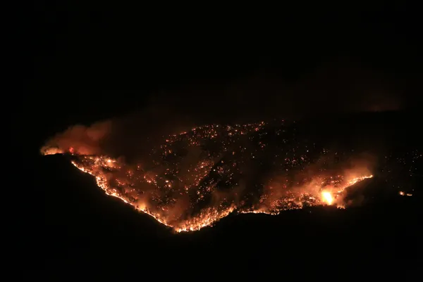 Son dakika | Antalya'da bir orman yangını daha! - 4