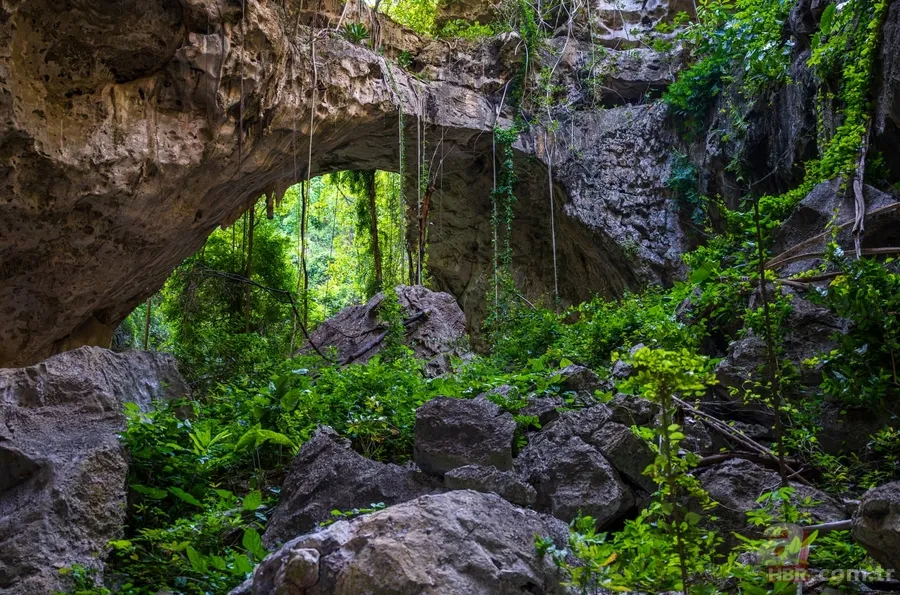 Mağaradaki gizli dünya: İlk kez uçan yılan türü görüldü 2