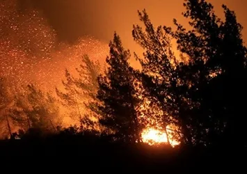 Son dakika: Adana'da ormanlık alanda yangın