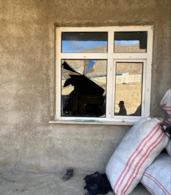 Van'da filmleri aratmayan olay! Dağ keçisi camı kırıp eve daldı - 2