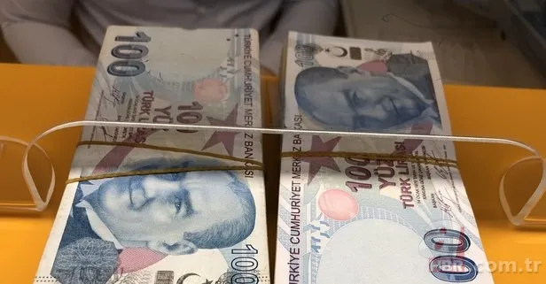 Kasım ayı doğalgaz desteği yattı mı, ne kadar yattı? Doğalgaz destek ödemesi nereden, nasıl alınır? Şartları neler? DOĞALGAZ DESTEĞİ BAŞVURU EKRANI 3