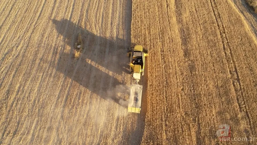 Van'da hububat üretiminde yüzde 75 artış! Sertifikalı tohumla ekim yapılıyor 9