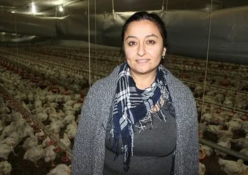 Tavuk çiftliğinden milyonlar kazanıyor