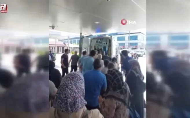 Kontrolden çıkan pat pat dereye devrildi