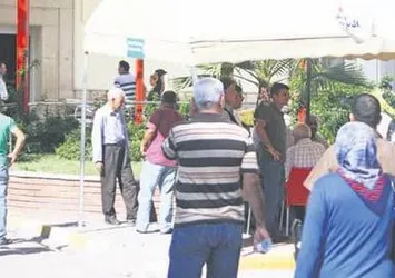 Yarasa paniği!