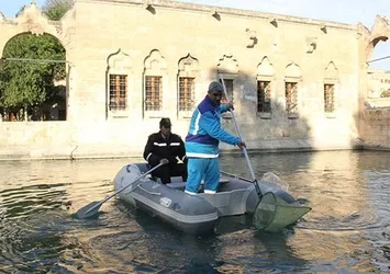 Balıklıgöl'de saatlerce yüzük aradılar