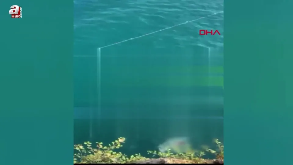 40 metreden suya atlayıp ağır yaralandı