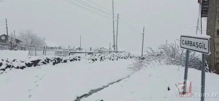 Artvin’e kış geri geldi! Kar kalınlığı 5 santimetreyi aştı: Köy yolları kapandı