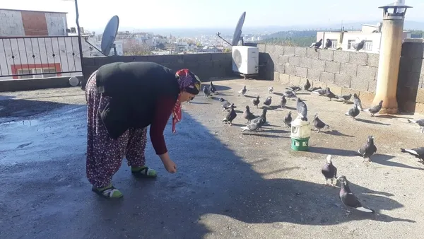 osmaniyede-basimiza-tas-yagacak-deyimini-yasadilar-1640168811932.jpg Osmaniye’de "Başımıza taş yağacak" deyimini yaşadılar - 3