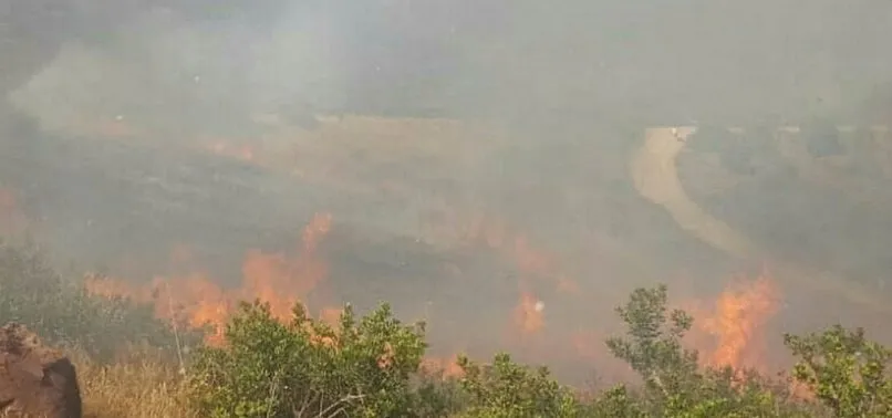 Son Dakika Bodrum Da Makilik Alanda Yangin
