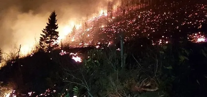 Bakan Pakdemirli: Karadeniz’deki orman yangınlarında toplam 260 hektar alan zarar gördü