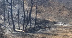 Evini alevlerden korumaya çalışırken kalp krizi geçirdi