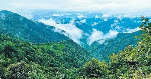 CHP 28 Mayıs'ta neden hezimete uğradı? Gazeteci ve yazar Sadık Albayrak'tan dikkat çeken tespit: CHP'nin kaderi bu - 3