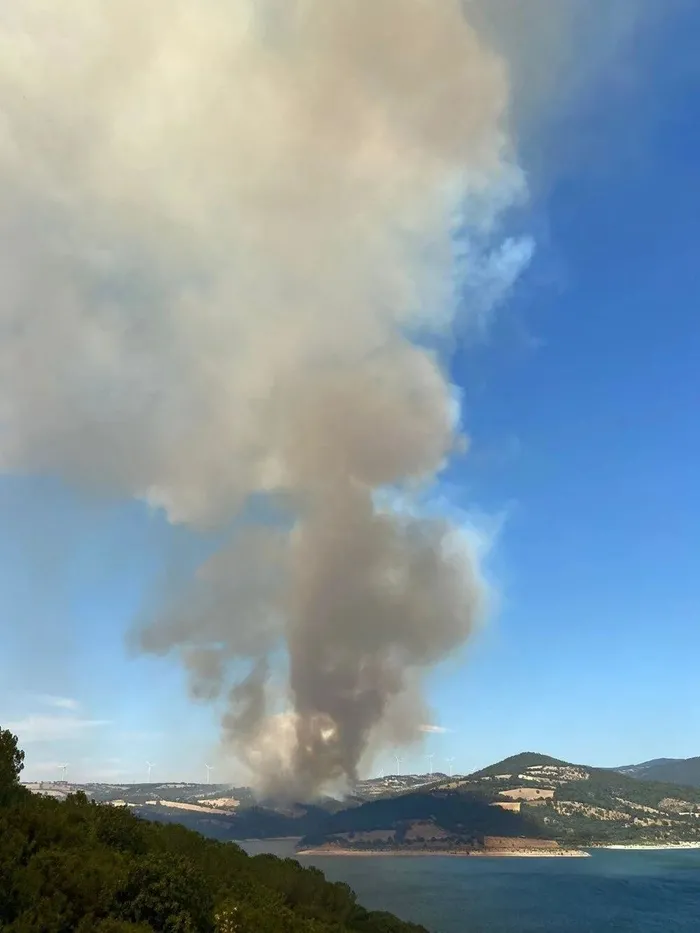 cesmedeki-orman-yangininda-dehset-3-kisi-hayatini-kaybetti-1721051427225.jpeg İzmir Çeşme'deki orman yangınında dehşet! 3 kişi hayatını kaybetti | İzmir Valisi A Haber'de açıkladı: Dumandan zehirlendiler - 10