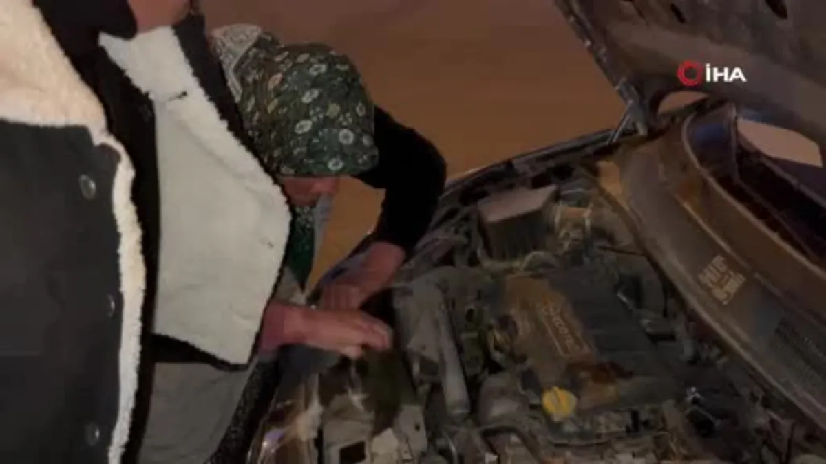 Aracın motoruna giren yavru kediyi kurtaran yaşlı kadından yürek ısıtan şefkat